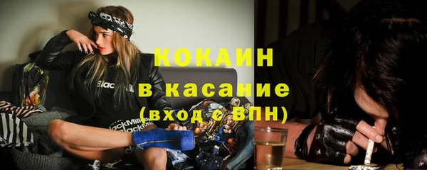дмт Алексин