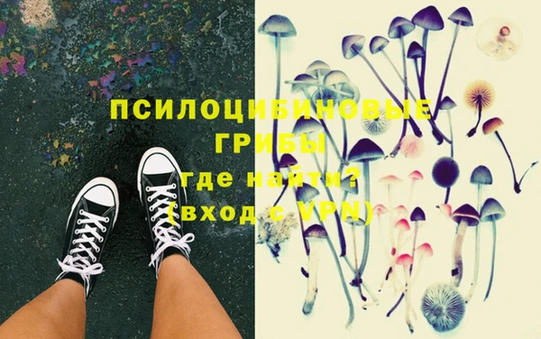 дмт Алексин